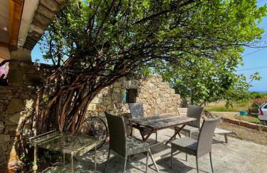 Residence VILLA MOROSI - Favone - Foto 6