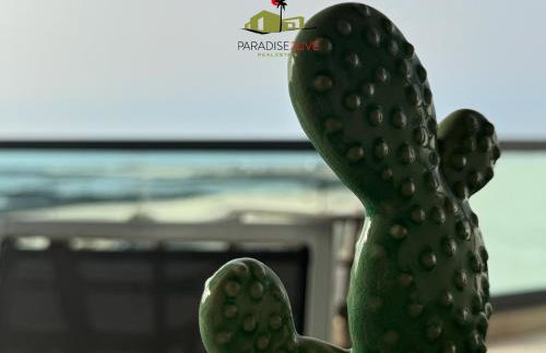 CactusVibes Cotillo - Foto 33