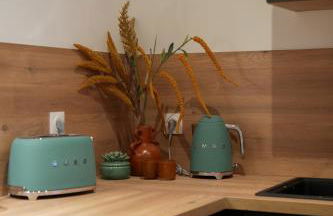 Dijon Hypercentre - Loge Des Ducs - Foto 9