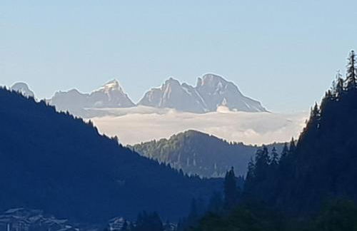 Chalet la sapiniere - Photo 16