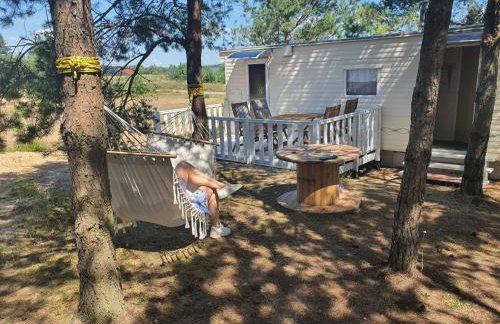 Holenderki na Zielonych Wzgórzach, Łowyń - Foto 16