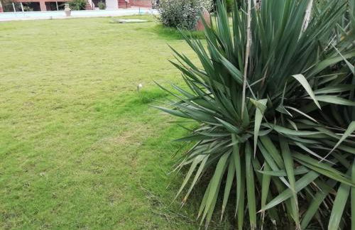 Villa Stefania Exclusive with big private pool and double bathroom - Foto 66