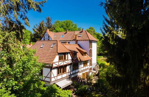 Einliegerwohnung in einer Mühle vor den Toren Frankfurts, ideal für Messegäste oder Stop Over - Foto 7