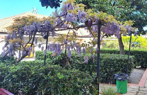 Casa Gazzano - Photo 48