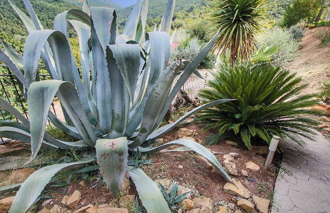Cottage in Bettona With Pool & Near Assisi - Photo 28