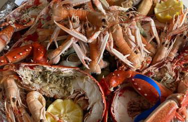 Belle villa la galinoche - Foto 15