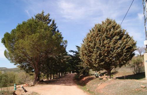 Casas Rurales Los Cortijos - Foto 21