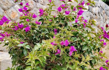 Apartment Sandra2 - Foto 33