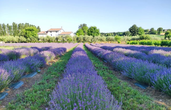 Agriturismo Corte Davini - Foto 67