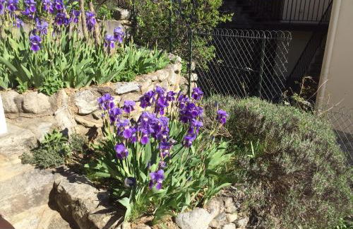 SARL l'Alzina - Foto 47