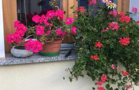 Appartamenti Mosconi Mistica - Foto 61