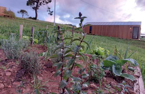 Cabañas Huma 2 - Foto 17