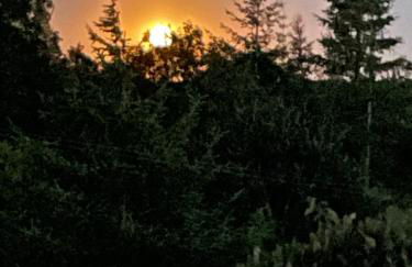 Pant yr onen holidays - Photo 34