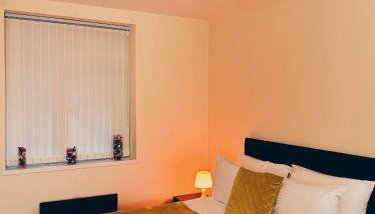 The EliteApex - Foto 2