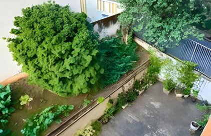 Casa Pantuso Santo Antônio - Foto 8