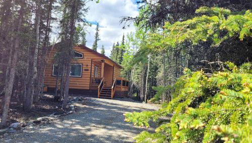 Denali Wild Stay - Moose Cabin, Free Wifi, 2 private bedrooms, sleep 6 - Foto 4