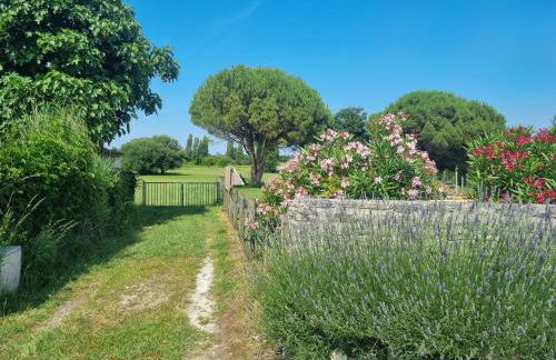 Séjour en famille à Avail - Foto 20