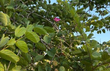 RR Beach Residence - Foto 6