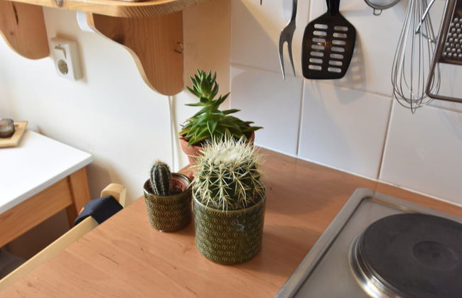 Unique Studio on Large Estate With sea View - Photo 13