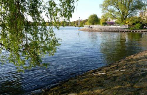 Alster-und Citynahes Apartment - Photo 6