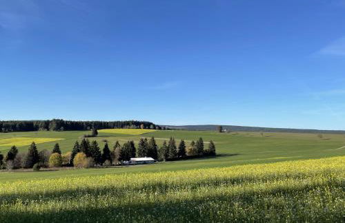 Holiday Home Melvill by Interhome - Foto 77