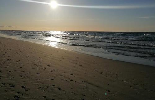 "Lawendowe Wzgórze" - Foto 50