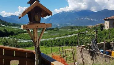 Agritur Coryletum - Foto 4