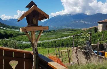 Agritur Coryletum - Foto 4