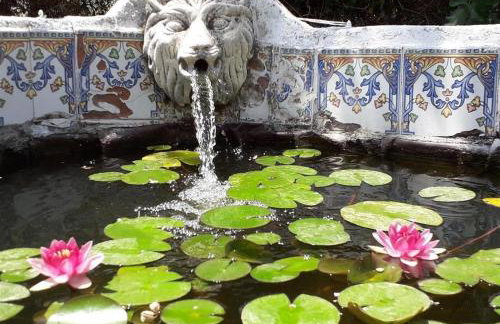 Casa Margarita - Photo 26