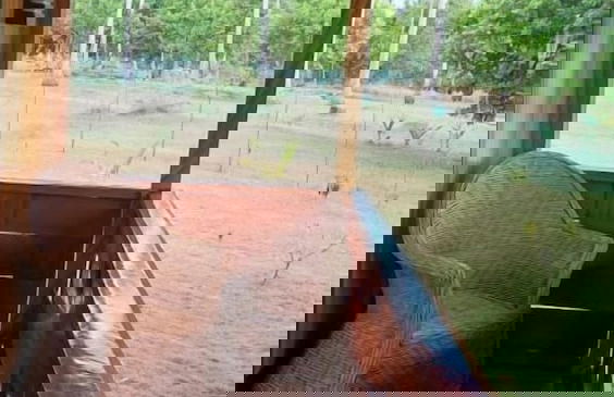 La Tranquilidad Beach Resort - Foto 21