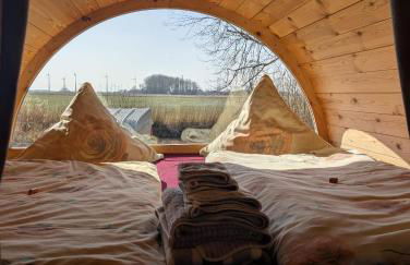 Die Sonnenblume - Foto 1