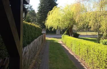 Ferienhaus am Mescheriner See - Photo 28