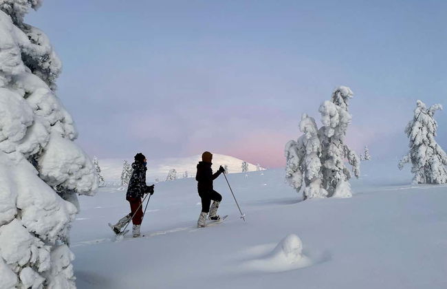 Pallas-Yllästunturi National Park Snowshoe Tour - Photo 11