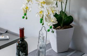 Lux Camp Bi Village, Mobile home Villa Dado - Foto 23