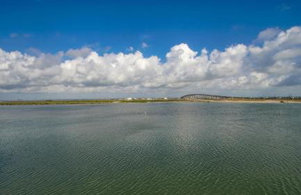 Multi Resorts at Puente Vista - Foto 142