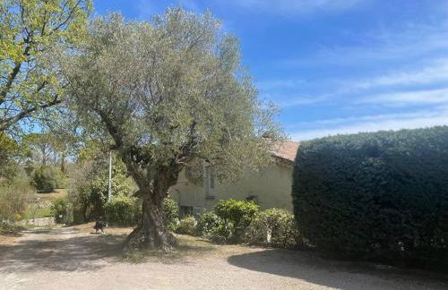 Belle villa de charme avec piscine - Foto 14