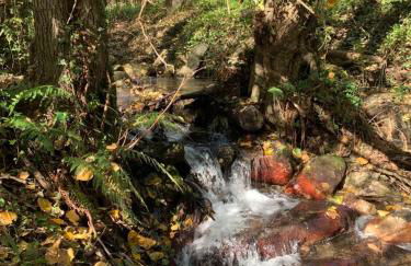 Masía Can Janet alojamiento rural con piscina privada en plena naturaleza - Foto 47