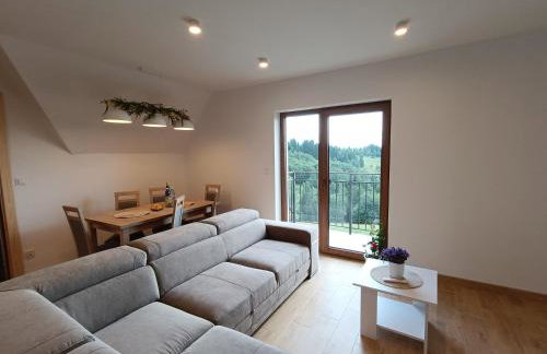 Apartament Kwiat Paproci - Photo 8
