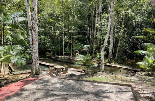 Sitio para COP30 - Foto 18