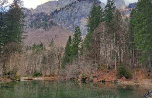 Appartement cosy face aux Aravis - Photo 34