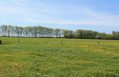 Hardthof - Hürtgenwald - Foto 23