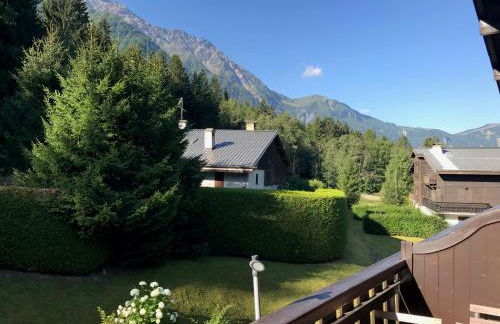 Appartement cosy au pied du MtBlanc - Photo 33