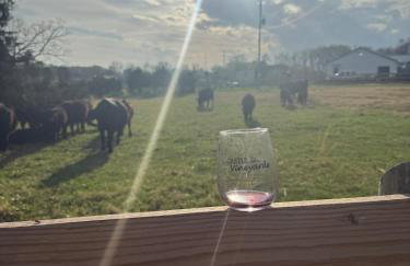 The Firefly Lodge at Shenandoah - Foto 41