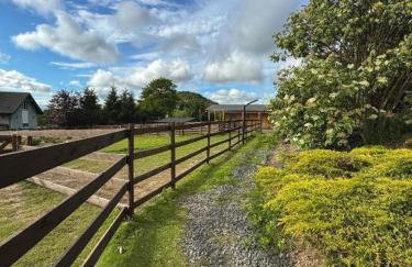 Agroturystyka Alpakolandia Góra Szybowcowa - Foto 5