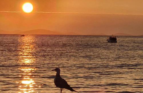 Plavi Val Apartments - Foto 45