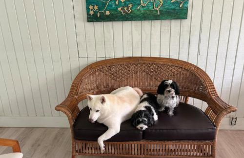 Happy Place near WEC , Natural Springs,Zip-Line - Photo 9