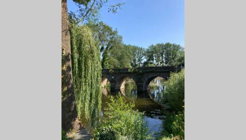 Studio Les Terrasses Perchées sur la rivière à Segré - Foto 3
