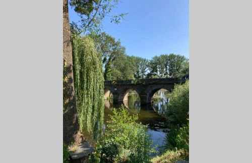 Studio Les Terrasses Perchées sur la rivière à Segré - Photo 3