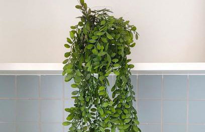 Blend Coliving One - 3b - Foto 71