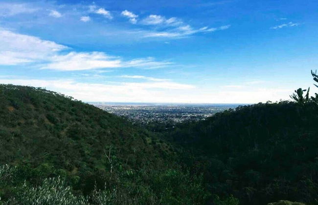 Dishwasher A C Dryer Campbelltown Courtyard North - Foto 22